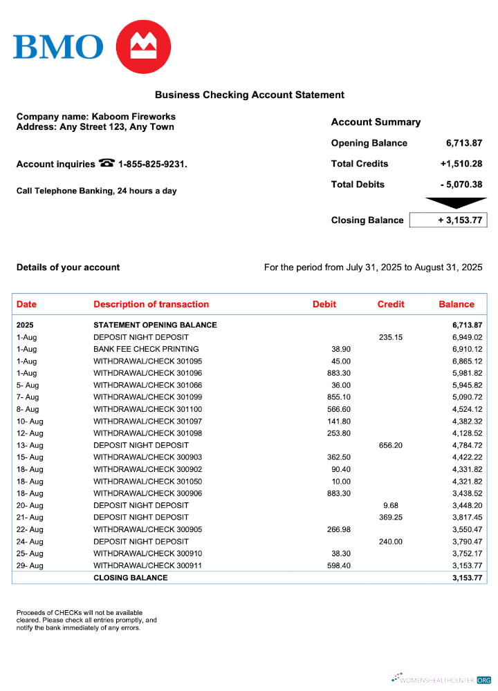 USA BMO Bank of Montreal business checking account statement Word and PDF template 2